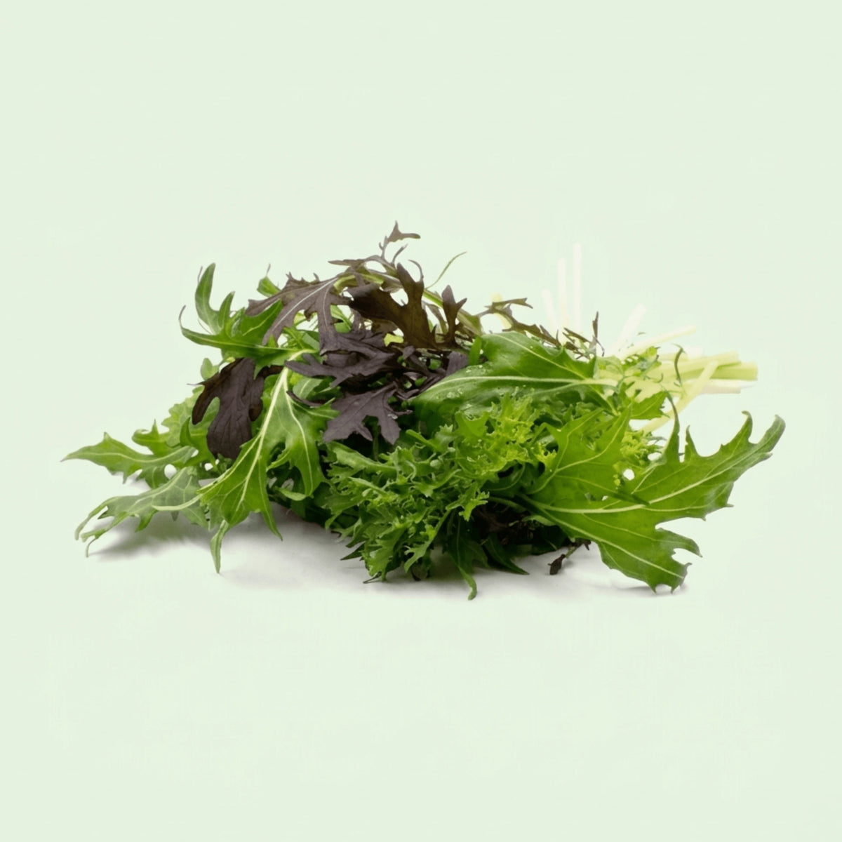 Babyleaf