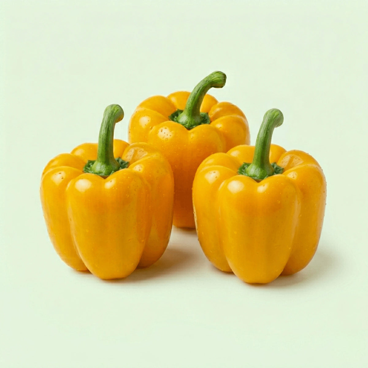 Paprika geel