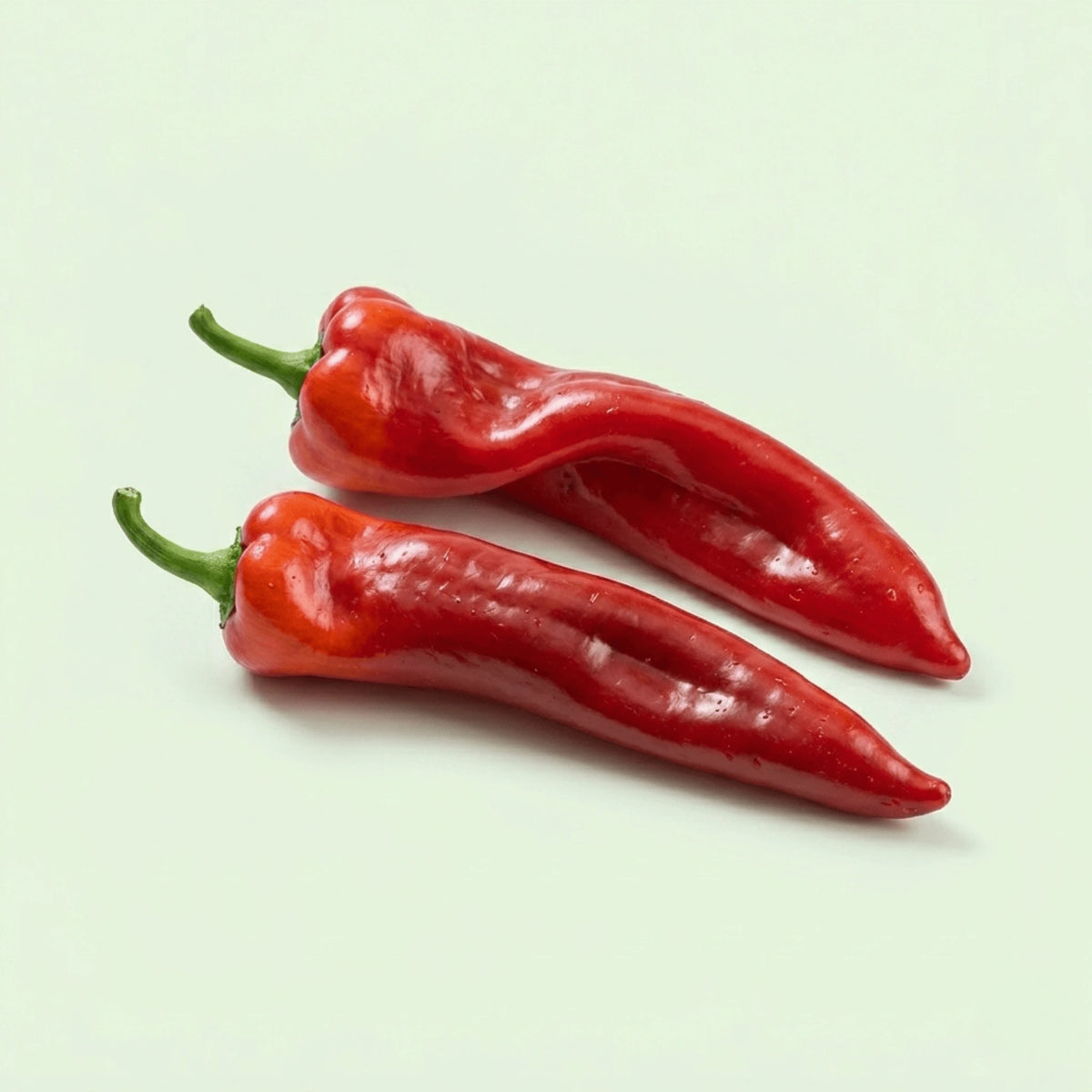 Puntpaprika